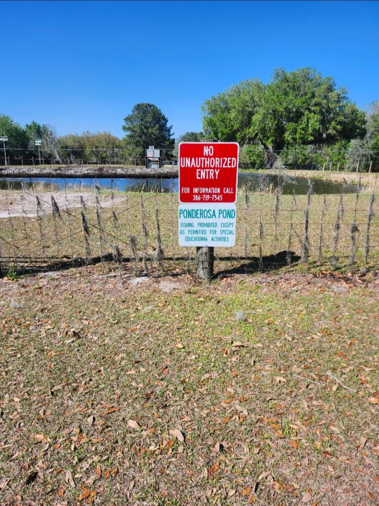Signs for Ponderosa Pond are posted in front of a wire fence draped in Spanish moss, with large oak trees in the background. The photo is taken in Alligator Lake Park in Lake City, Florida.