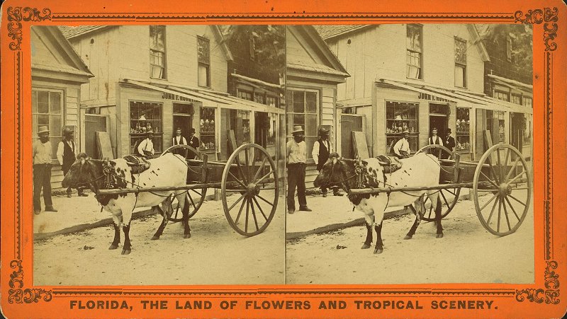 The Lightning Express, or, The Team of a Florida Cracker.